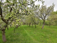 Dom Sprzedaż - świętokrzyskie, konecki, Stąporków, Błaszków