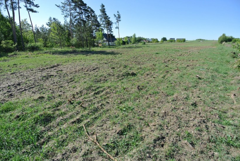 Działka Sprzedaż - świętokrzyskie, buski, Busko-Zdrój, Szaniec