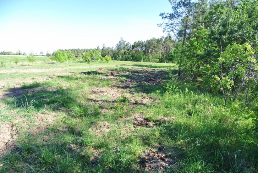 Działka Sprzedaż - świętokrzyskie, buski, Busko-Zdrój, Szaniec