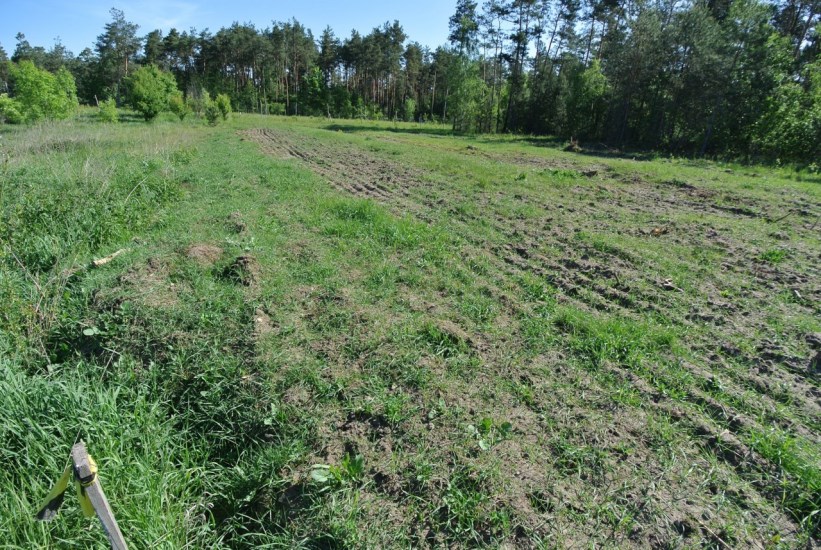 Działka Sprzedaż - świętokrzyskie, buski, Busko-Zdrój, Szaniec