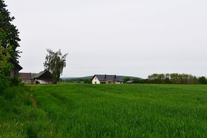 Działka Sprzedaż - świętokrzyskie, kielecki, Nowa Słupia, Jeleniów