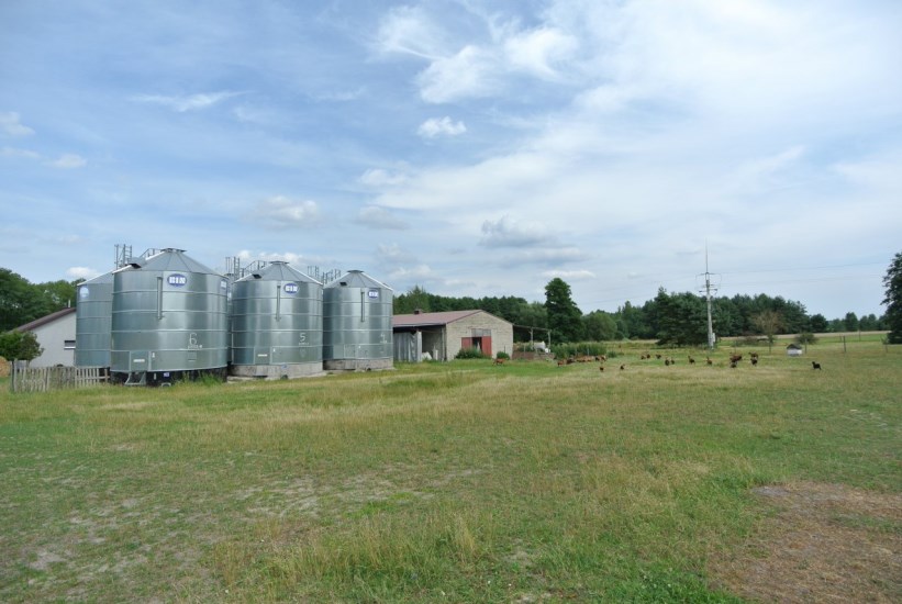 Hala Wynajem - świętokrzyskie, kielecki, Pierzchnica, Pierzchnianka