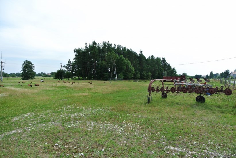 Hala Wynajem - świętokrzyskie, kielecki, Pierzchnica, Pierzchnianka