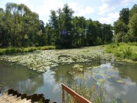 Dom Sprzedaż - świętokrzyskie, skarżyski, Skarżysko-Kamienna, Łyżwy