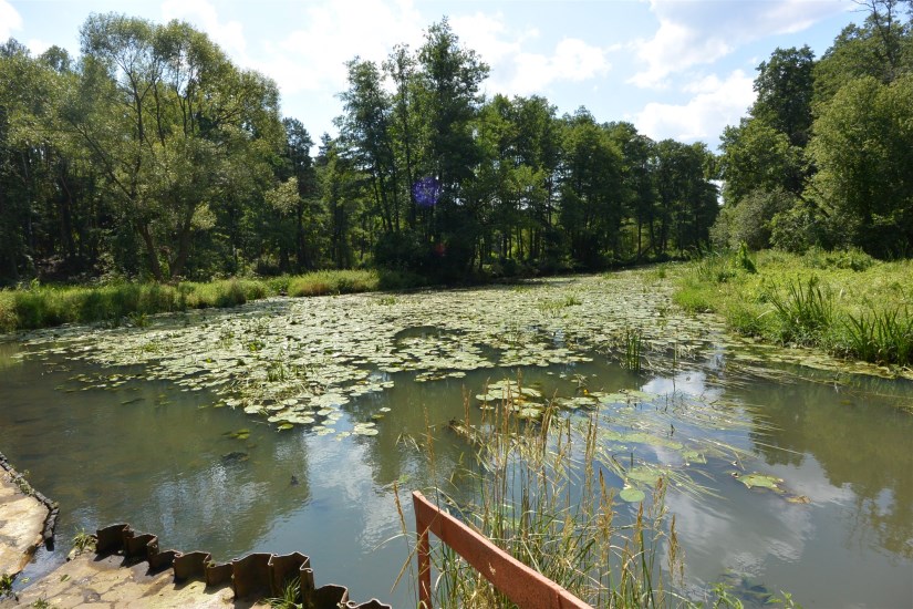 Dom Sprzedaż - świętokrzyskie, skarżyski, Skarżysko-Kamienna, Łyżwy