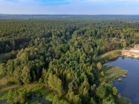 Dom Sprzedaż - świętokrzyskie, skarżyski, Skarżysko-Kamienna, Łyżwy