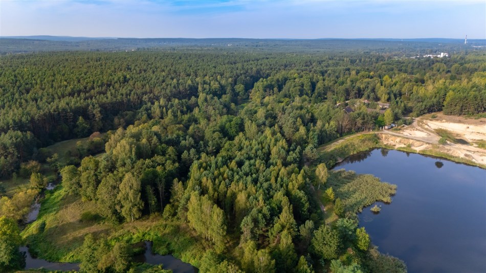 Dom Sprzedaż - świętokrzyskie, skarżyski, Skarżysko-Kamienna, Łyżwy