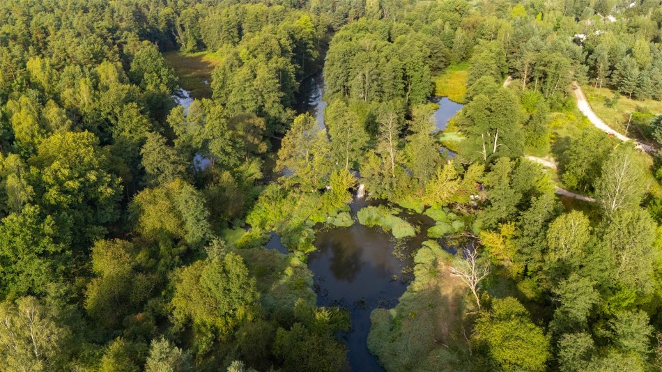 Dom Sprzedaż - świętokrzyskie, skarżyski, Skarżysko-Kamienna, Łyżwy