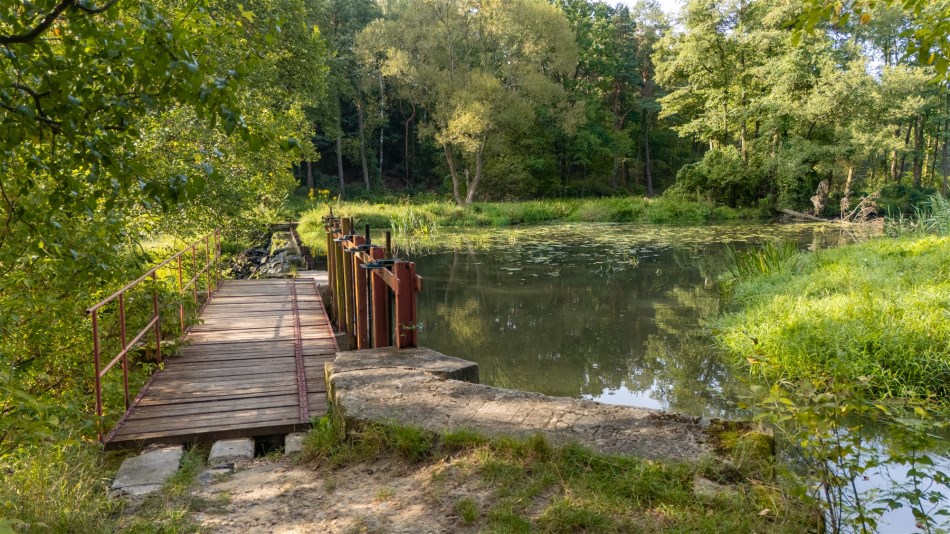 Dom Sprzedaż - świętokrzyskie, skarżyski, Skarżysko-Kamienna, Łyżwy