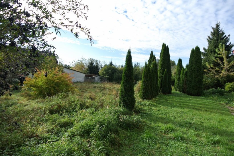 Dom Sprzedaż - świętokrzyskie, pińczowski, Pińczów (gw), Chruścice