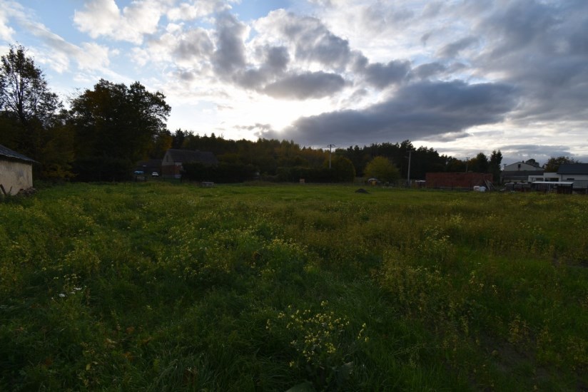 Działka Sprzedaż - świętokrzyskie, jędrzejowski, Sędziszów, Marianów