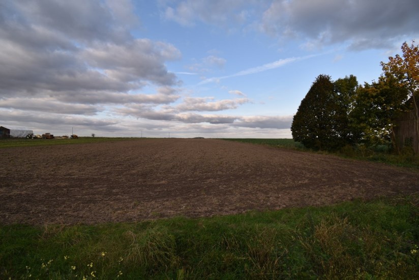 Działka Sprzedaż - świętokrzyskie, jędrzejowski, Sędziszów, Marianów