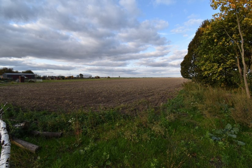 Działka Sprzedaż - świętokrzyskie, jędrzejowski, Sędziszów, Marianów