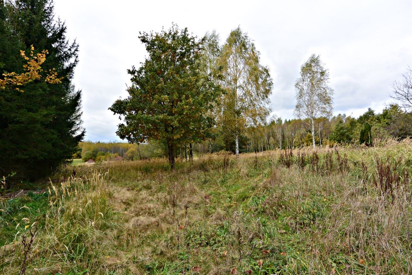 Działka Sprzedaż - świętokrzyskie, kielecki, Zagnańsk, Gruszka